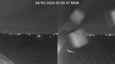 immagine della webcam nei dintorni di Riolo Terme: webcam Bagnacavallo
