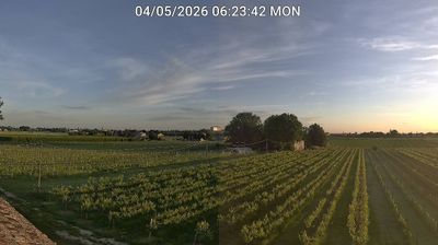 immagine della webcam nei dintorni di Marina Romea: webcam Bagnacavallo