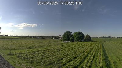 immagine della webcam nei dintorni di Cotignola: webcam Bagnacavallo