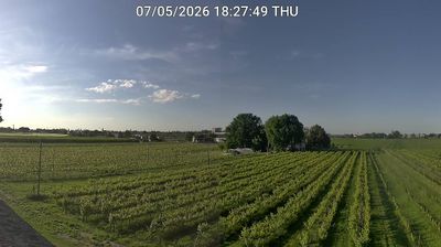immagine della webcam nei dintorni di Lido di Spina: webcam Bagnacavallo