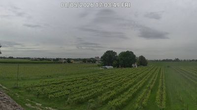 immagine della webcam nei dintorni di Punta Marina: webcam Bagnacavallo