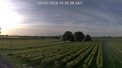 immagine della webcam nei dintorni di Porto Garibaldi: webcam Bagnacavallo