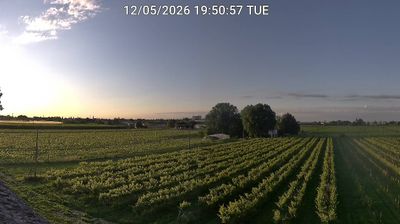 immagine della webcam nei dintorni di Casola Valsenio: webcam Bagnacavallo