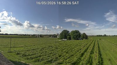 Preview delle webcam di Bagnacavallo