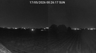 immagine della webcam nei dintorni di Punta Marina: webcam Bagnacavallo