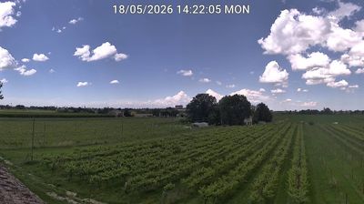 immagine della webcam nei dintorni di Lido degli Estensi: webcam Bagnacavallo