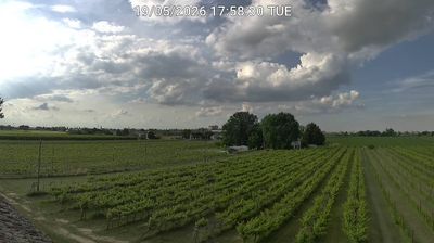 immagine della webcam nei dintorni di Lido degli Estensi: webcam Bagnacavallo