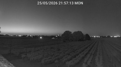 immagine della webcam nei dintorni di Lido Adriano: webcam Bagnacavallo