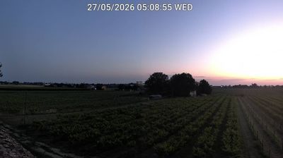 immagine della webcam nei dintorni di Lido Adriano: webcam Bagnacavallo