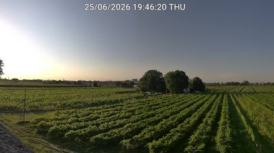 immagine della webcam nei dintorni di Punta Marina: webcam Bagnacavallo