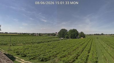 immagine della webcam nei dintorni di Medicina: webcam Bagnacavallo