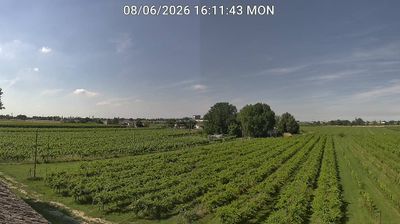 immagine della webcam nei dintorni di Bagnara di Romagna: webcam Bagnacavallo