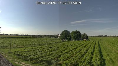immagine della webcam nei dintorni di Forlì: webcam Bagnacavallo