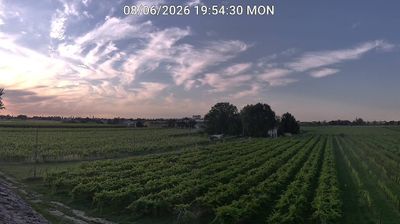 immagine della webcam nei dintorni di Villafranca di Forlì: webcam Bagnacavallo