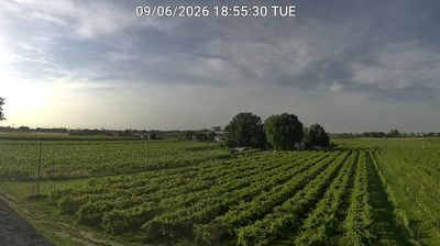 immagine della webcam nei dintorni di Faenza: webcam Bagnacavallo