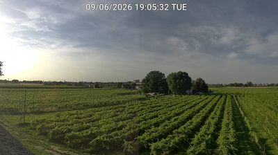 immagine della webcam nei dintorni di Forlì: webcam Bagnacavallo