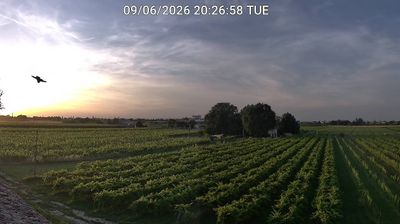 immagine della webcam nei dintorni di Forlì: webcam Bagnacavallo