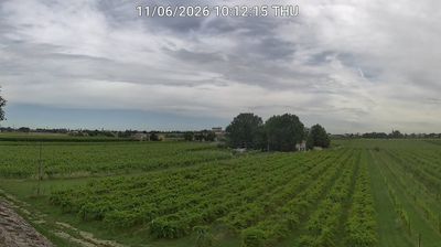 immagine della webcam nei dintorni di Castrocaro Terme e Terra del Sole: webcam Bagnacavallo