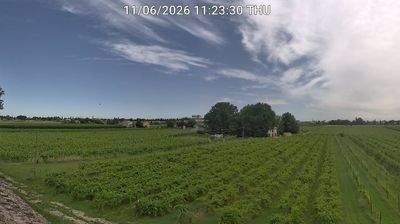 immagine della webcam nei dintorni di Bagnara di Romagna: webcam Bagnacavallo