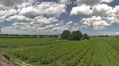 Preview delle webcam di Bagnacavallo