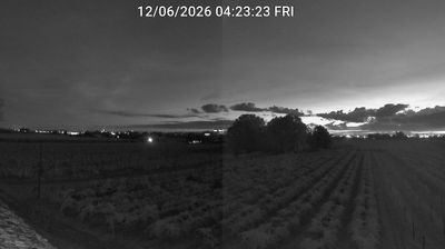 immagine della webcam nei dintorni di Bagnara di Romagna: webcam Bagnacavallo