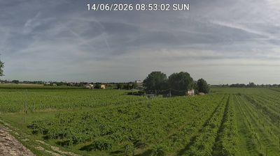 immagine della webcam nei dintorni di Castrocaro Terme e Terra del Sole: webcam Bagnacavallo