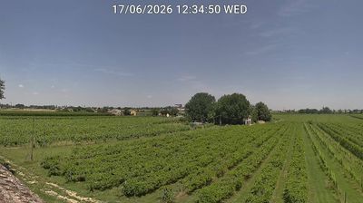 immagine della webcam nei dintorni di Forlì: webcam Bagnacavallo