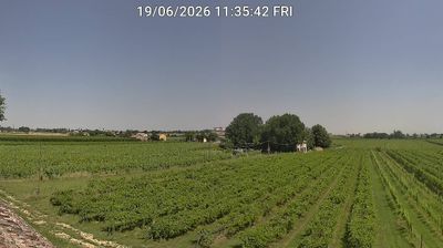 immagine della webcam nei dintorni di Modigliana: webcam Bagnacavallo