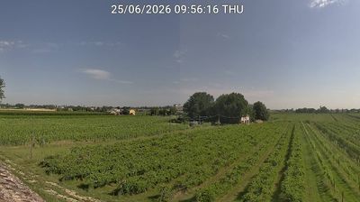 immagine della webcam nei dintorni di Riolo Terme: webcam Bagnacavallo