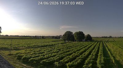 immagine della webcam nei dintorni di Riolo Terme: webcam Bagnacavallo
