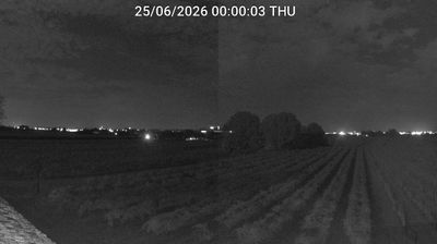 immagine della webcam nei dintorni di Bagnara di Romagna: webcam Bagnacavallo