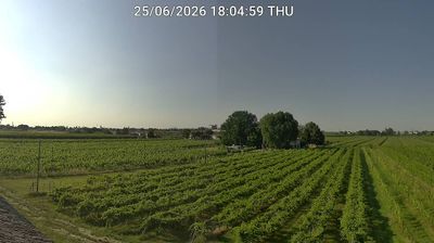 immagine della webcam nei dintorni di Porto Garibaldi: webcam Bagnacavallo