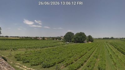 immagine della webcam nei dintorni di Porto Garibaldi: webcam Bagnacavallo