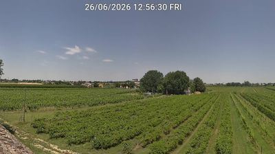 immagine della webcam nei dintorni di Porto Garibaldi: webcam Bagnacavallo