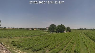 immagine della webcam nei dintorni di Casola Valsenio: webcam Bagnacavallo