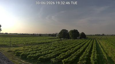 Preview delle webcam di Bagnacavallo