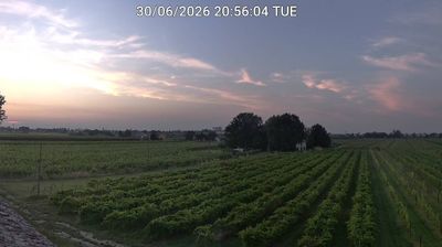 Preview delle webcam di Bagnacavallo
