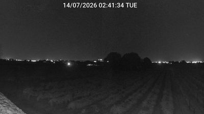 immagine della webcam nei dintorni di Punta Marina: webcam Bagnacavallo