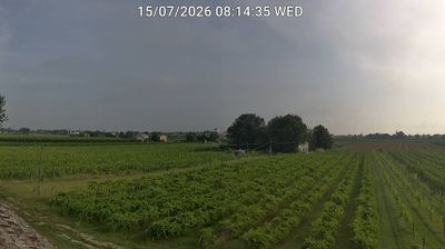 immagine della webcam nei dintorni di Forlì: webcam Bagnacavallo