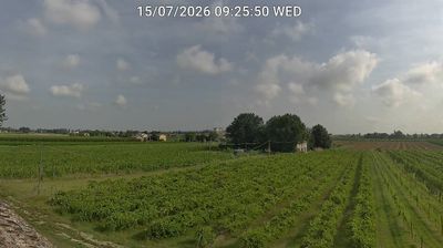 immagine della webcam nei dintorni di Castrocaro Terme e Terra del Sole: webcam Bagnacavallo