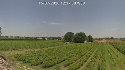 immagine della webcam nei dintorni di Castrocaro Terme e Terra del Sole: webcam Bagnacavallo