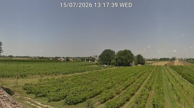 immagine della webcam nei dintorni di Castrocaro Terme e Terra del Sole: webcam Bagnacavallo
