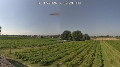 immagine della webcam nei dintorni di Conselice: webcam Bagnacavallo