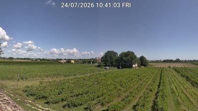 immagine della webcam nei dintorni di Argenta: webcam Bagnacavallo