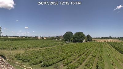 immagine della webcam nei dintorni di Forlì: webcam Bagnacavallo