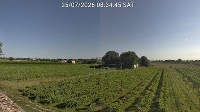 immagine della webcam nei dintorni di Medicina: webcam Bagnacavallo