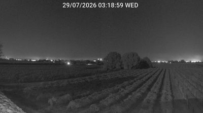 Preview delle webcam di Bagnacavallo