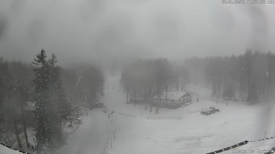 immagine della webcam nei dintorni di Castel del Piano: webcam Monte Amiata