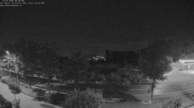 immagine della webcam nei dintorni di Murano: webcam Musile di Piave