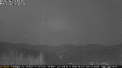 immagine della webcam nei dintorni di Grugliasco: webcam Rivalba